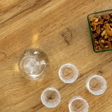 Arktos Luxury Apartman *